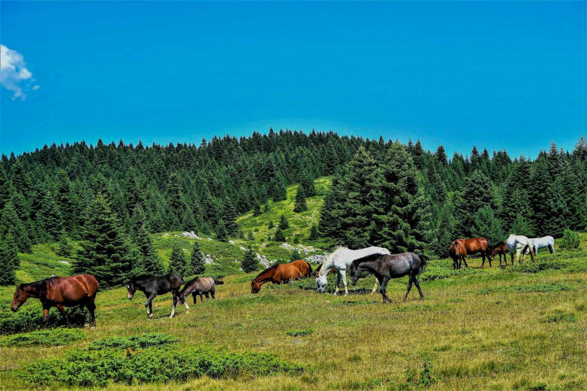 Апартаменти El Mirador De La Molina Ла-Моліна Екстер'єр фото